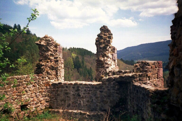 Chateau d'Echery