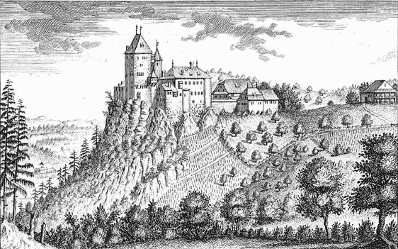 Chateau de Wildenstein
