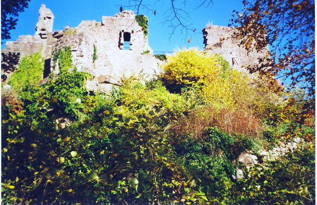 Chateau du Frankenbourg
