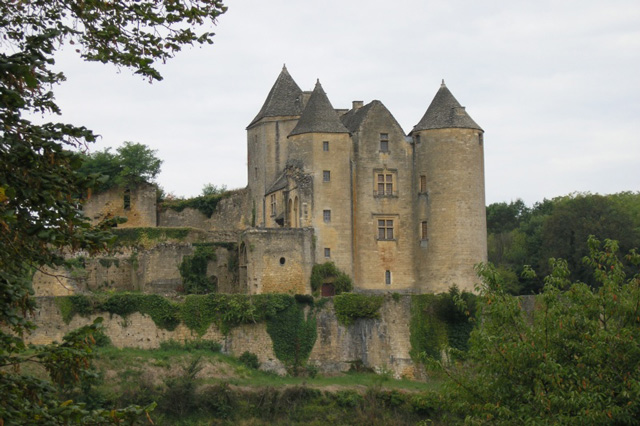 Chateau de Salignac