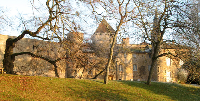 Château de Saint-Point