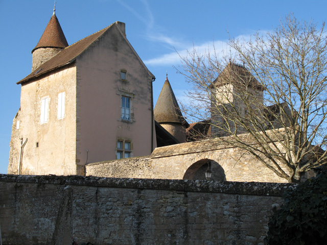 Château de Savianges