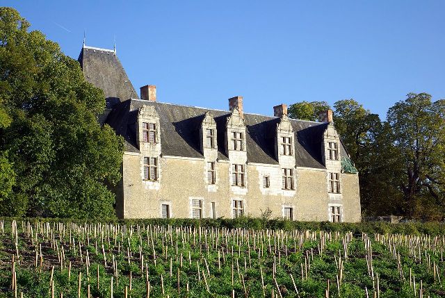 Château de la Cour-au-Berruyer