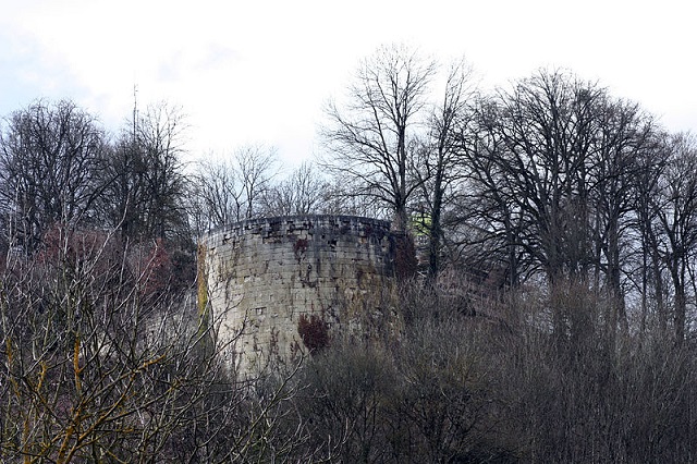 Château de Vignory
