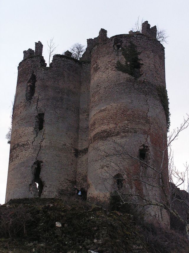 Château de Roumégous
