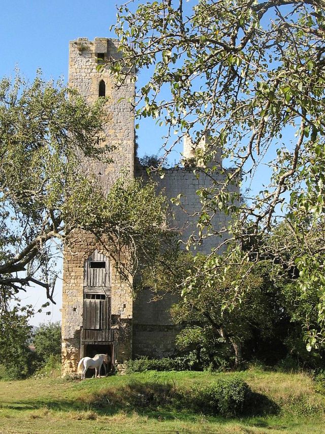 Château du Tauzia