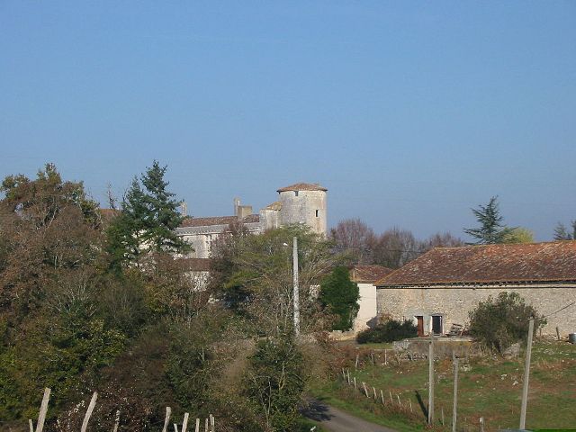 Château de Puyvidal