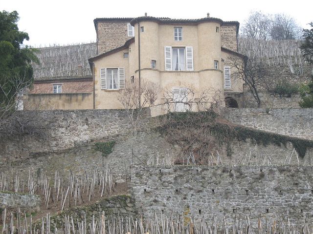 Château de Château-Grillet