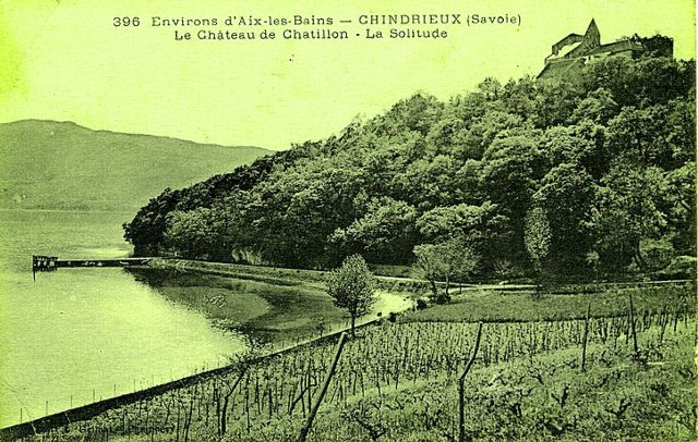 Château de Châtillon (Savoie)