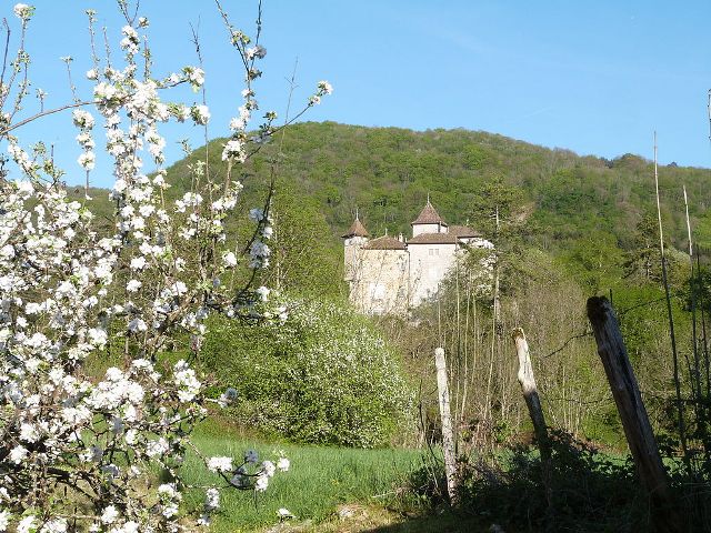 Château de Coiselet
