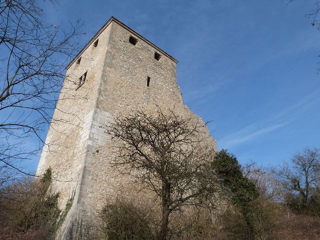 Château de Saint-Denis-en-Bugey